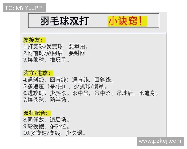 上海羽毛球队在冠军赛中的战术分析与表现评估 上海羽毛球队在冠军赛中的战术分析与表现评估