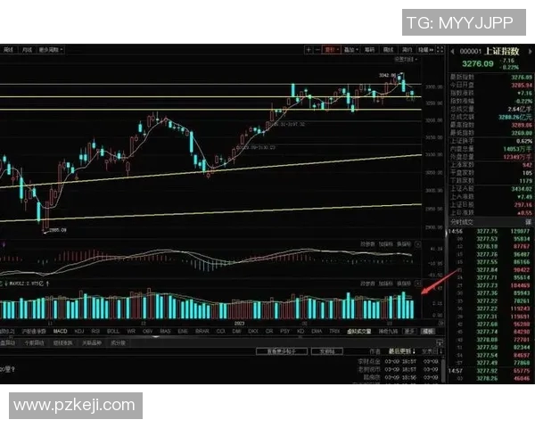 南京羽毛球队与杭州羽毛球队赛后复盘分析比赛节奏与战术对比