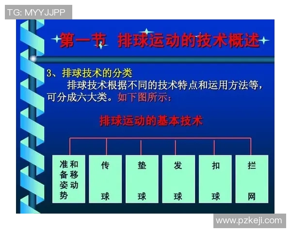 南京排球队的转换打法深度解析与战术创新探讨